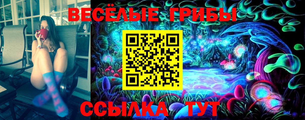 Псилоцибиновые грибы Psilocybine cubensis Каменск-Уральский