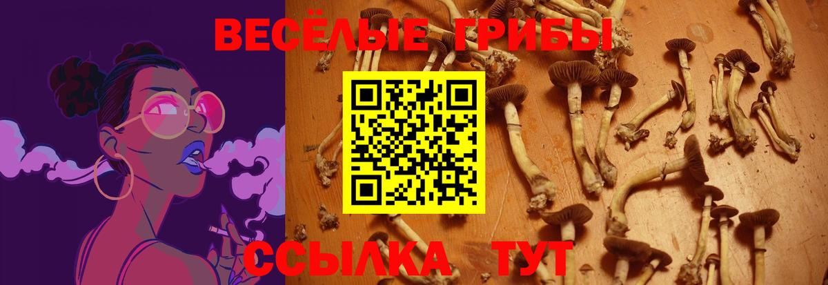 Каменск-Уральский  Псилоцибиновые грибы Psilocybine cubensis  Вход с VPN 